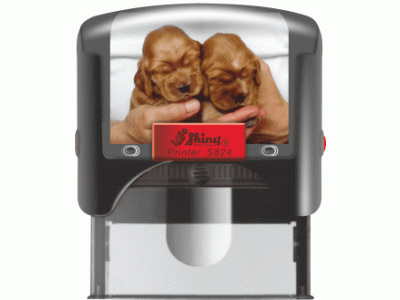 S824 Personal Printer ČERNÁ (58x22mm)