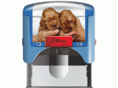 S824 Personal Printer MODRÁ (58x22mm)
